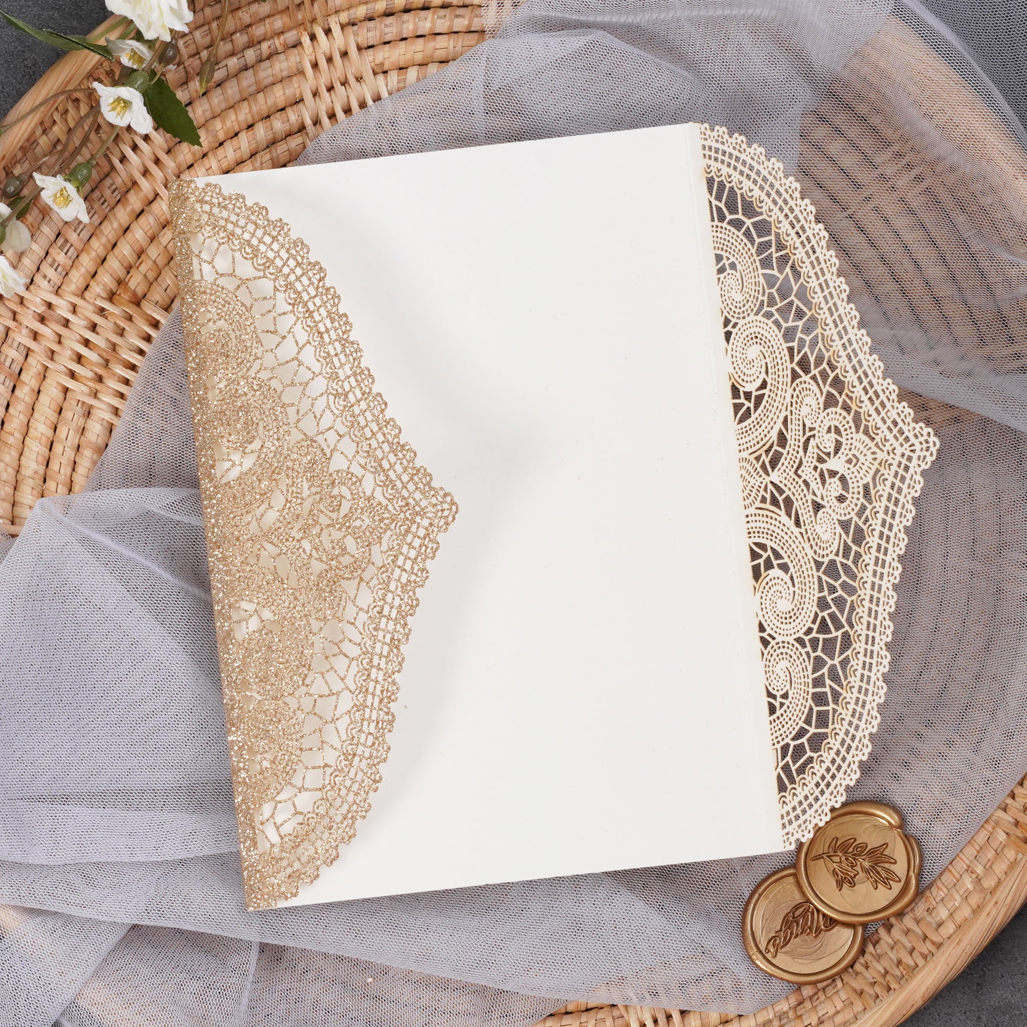 PONATIA Multi-color Gorgeous Chantilly Lace Laser Cut Pockets Series WSWL0077