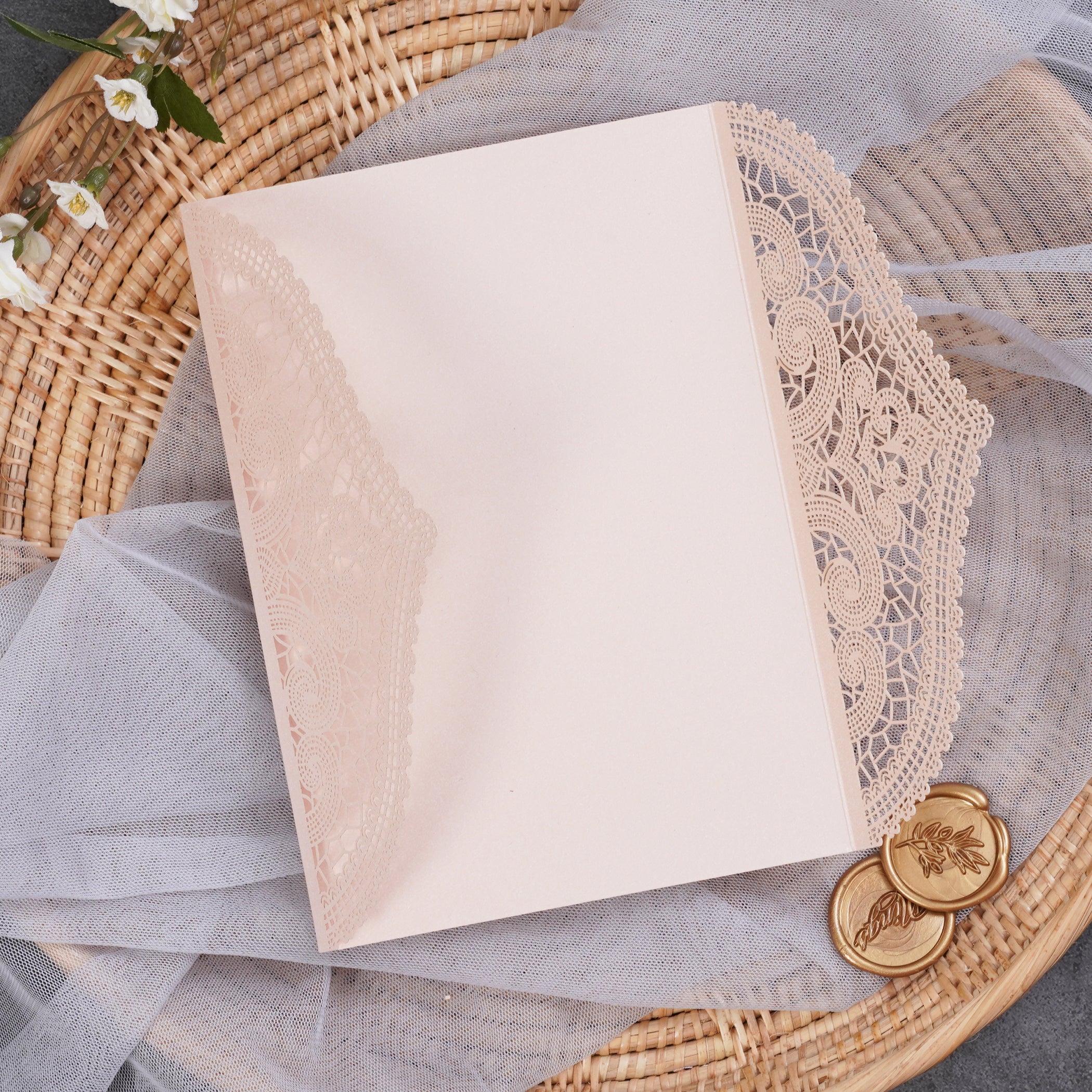 PONATIA Multi-color Gorgeous Chantilly Lace Laser Cut Pockets Series WSWL0077