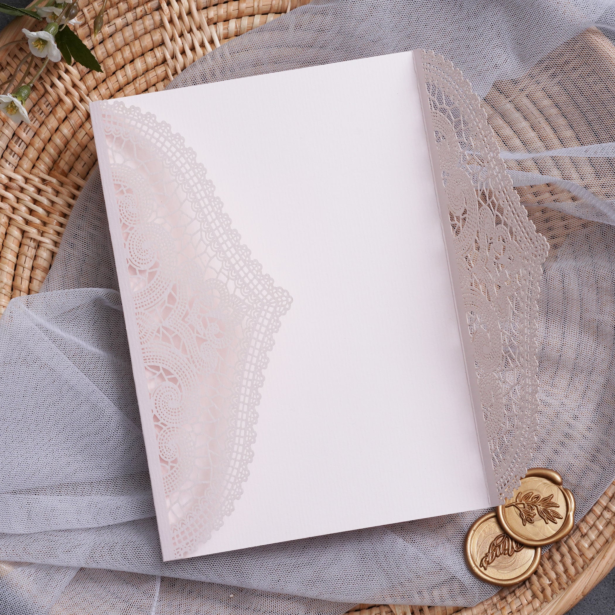 PONATIA Multi-color Gorgeous Chantilly Lace Laser Cut Pockets Series WSWL0077