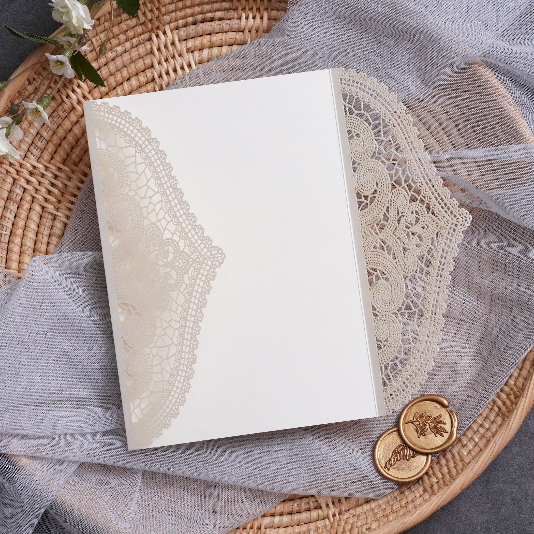 PONATIA Multi-color Gorgeous Chantilly Lace Laser Cut Pockets Series WSWL0077