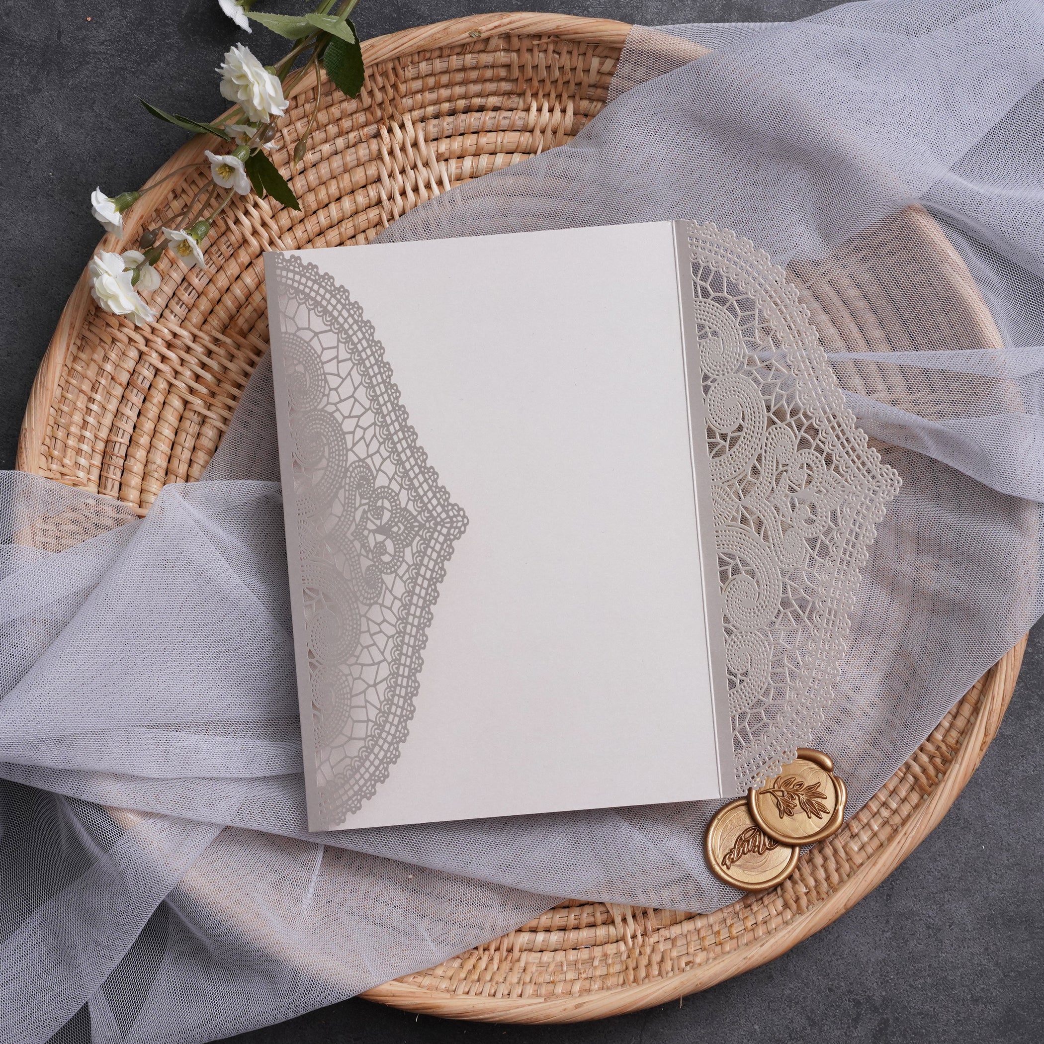 PONATIA Multi-color Gorgeous Chantilly Lace Laser Cut Pockets Series WSWL0077