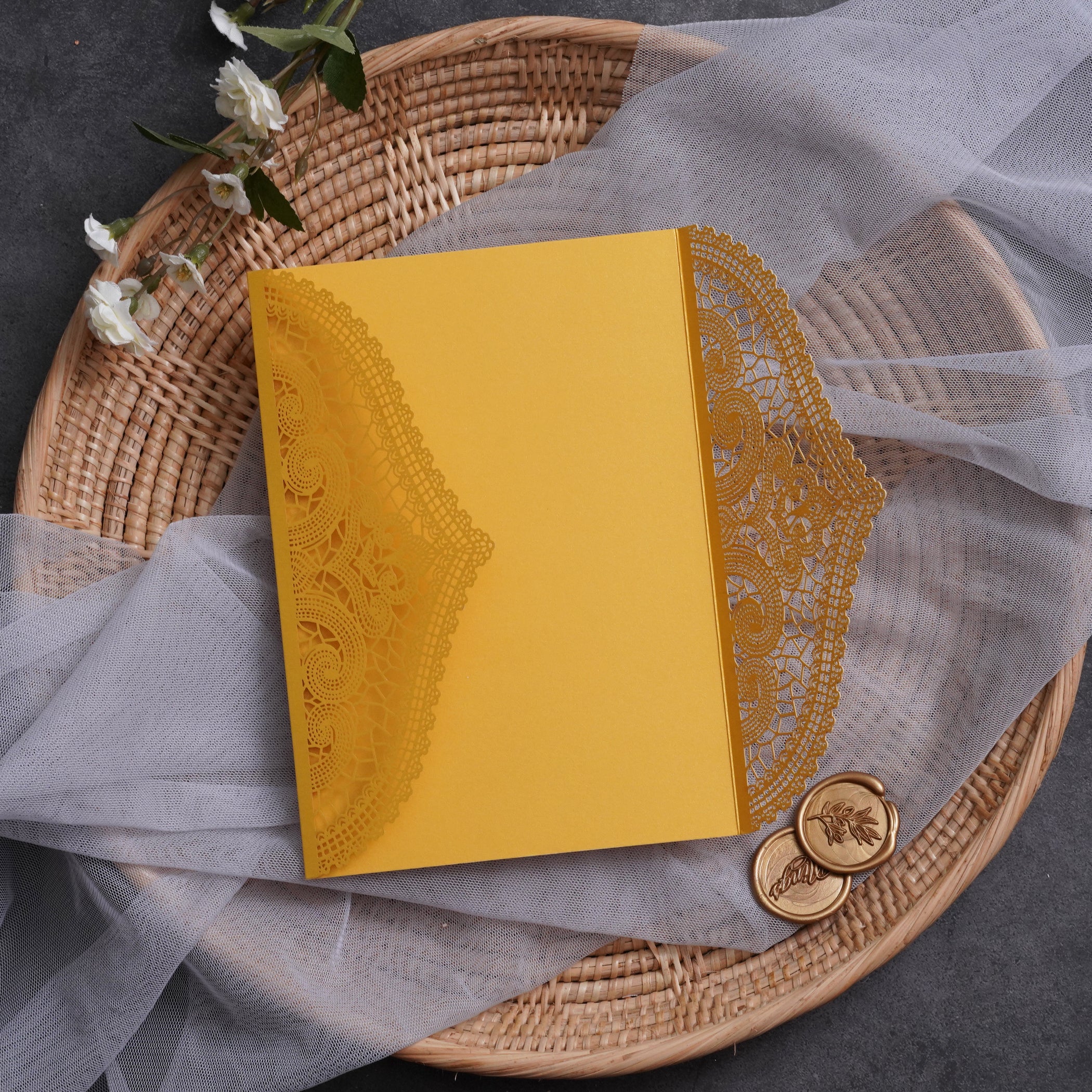 PONATIA Multi-color Gorgeous Chantilly Lace Laser Cut Pockets Series WSWL0077