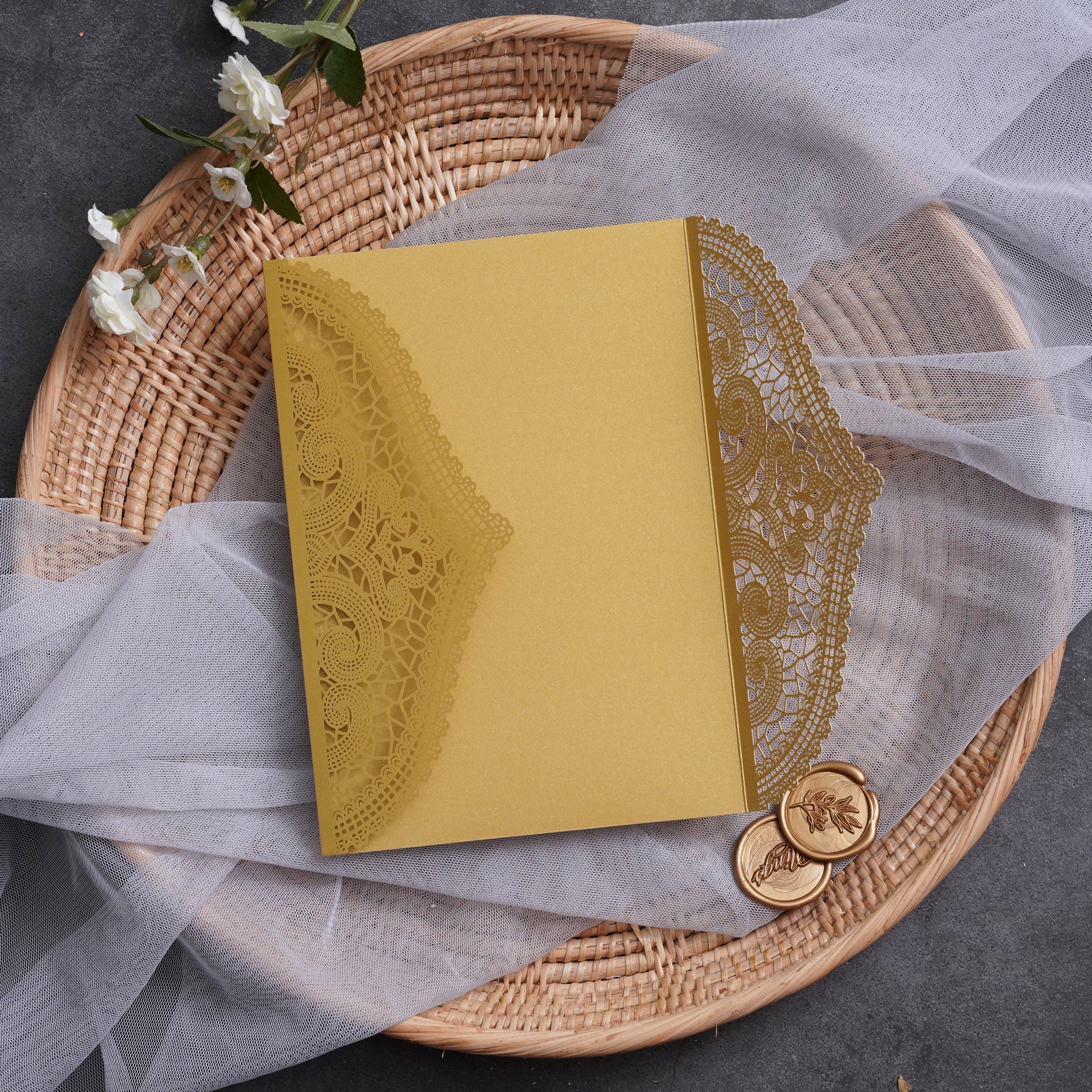 PONATIA Multi-color Gorgeous Chantilly Lace Laser Cut Pockets Series WSWL0077