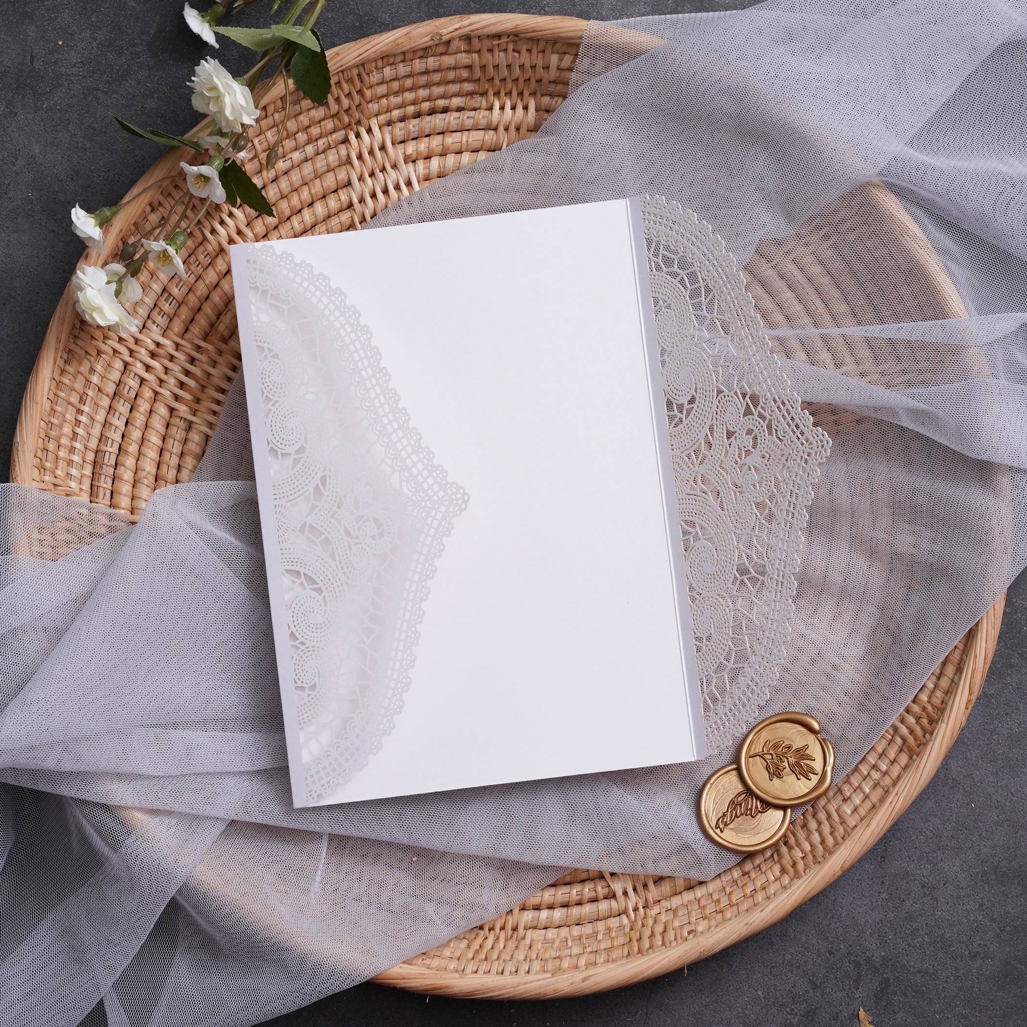 PONATIA Multi-color Gorgeous Chantilly Lace Laser Cut Pockets Series WSWL0077